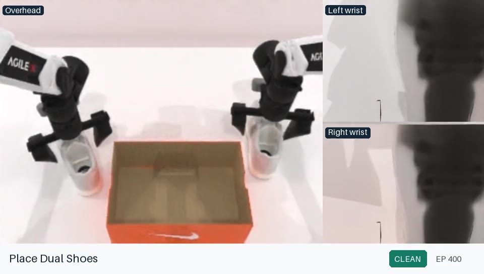 RoboTwin place shoes task